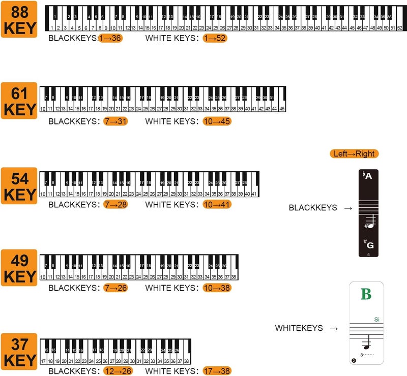 JYCSTE Piano Keyboard Stickers with Piano Chord Chart Poster, Removable Colorful Piano Keyboard Note Labels for 88/61/54/49 Key, Transparent Large Bold Letter Piano Stickers for Beginners - Image 3